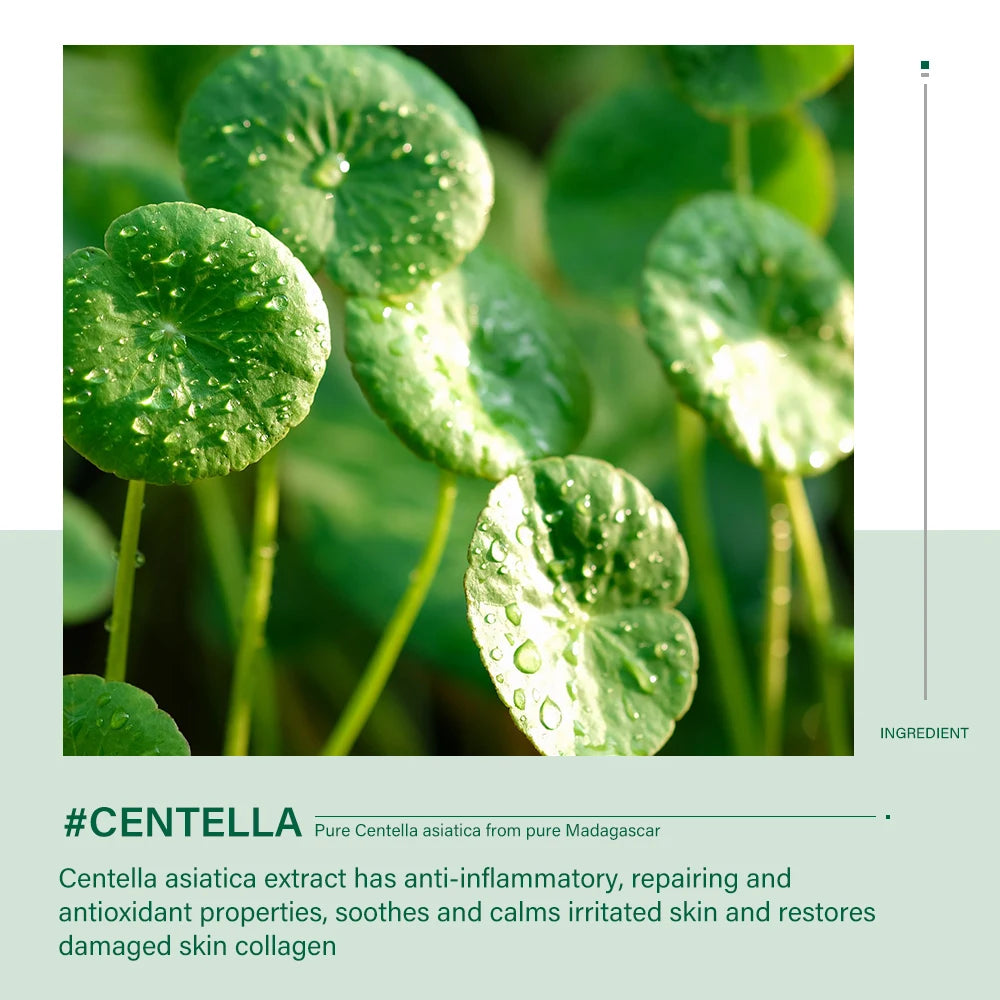 Kit de soins de la peau Centella Nettoyant pour le visage Crème Sakura Essence Sérum pour le visage Hydratant Anti-âge Blanchissant Kit de soins de la peau coréen